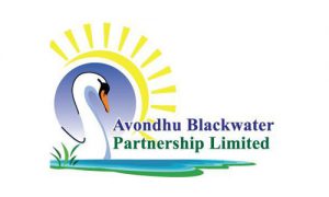 Avondhu Blackwater Partnership Logo