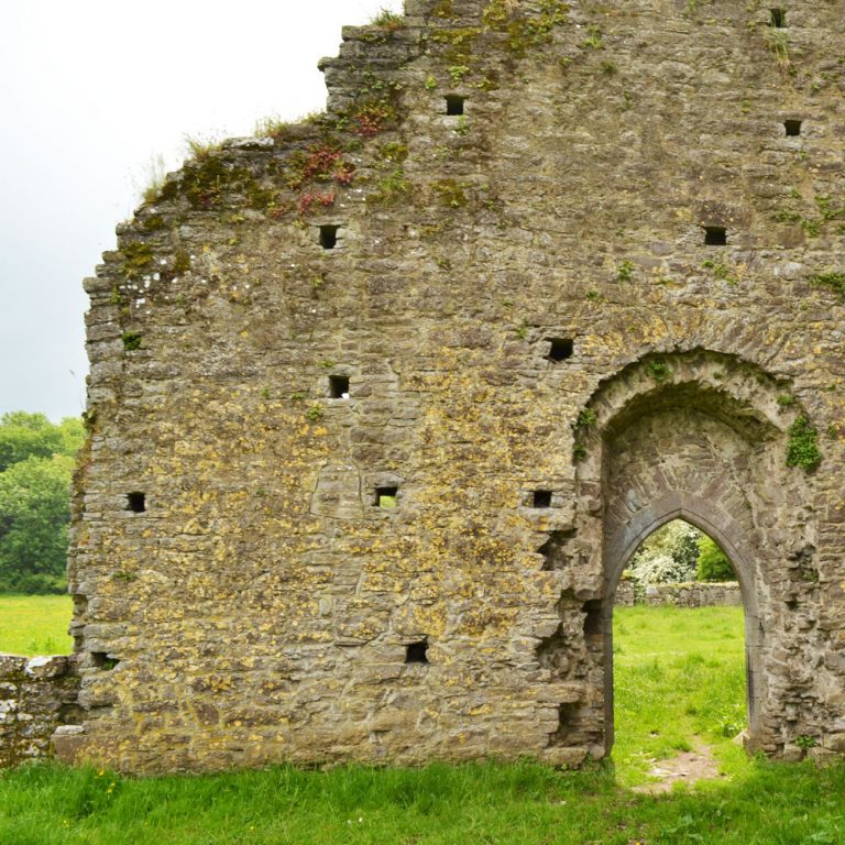 Ballybeg Abbey Buttevant
