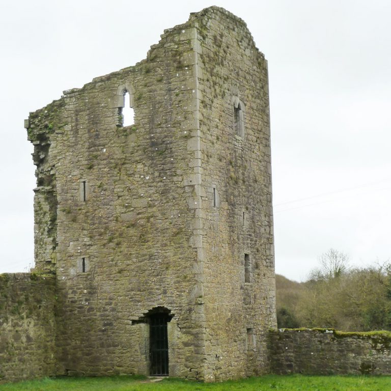 Ballybeg Abbey Tower Buttevant