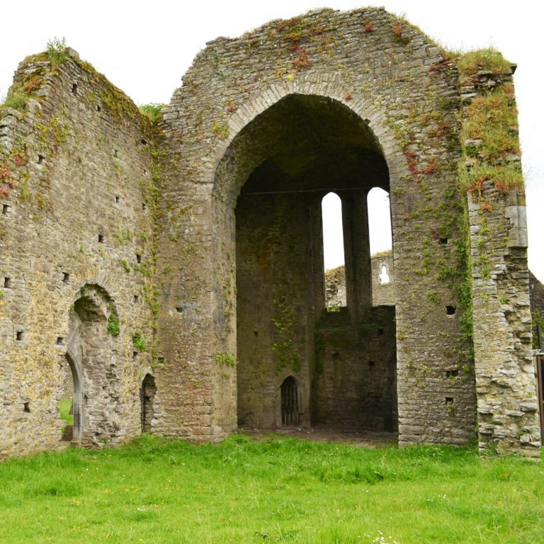 Ballybeg Abbey Buttevant