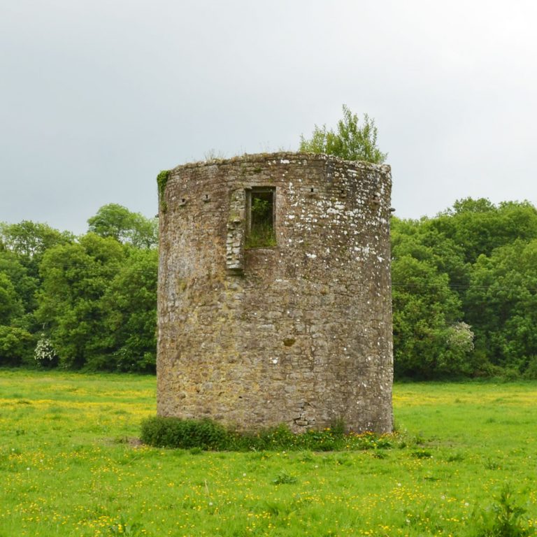 Dovecot Tower Ballybeg Abbey Buttevant