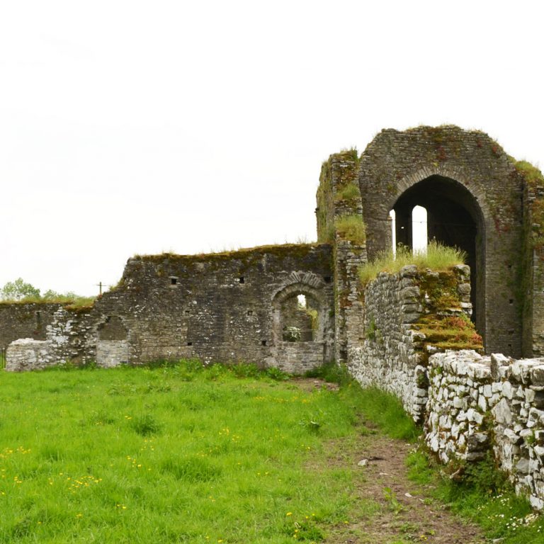 Ballybeg Abbey Buttevant