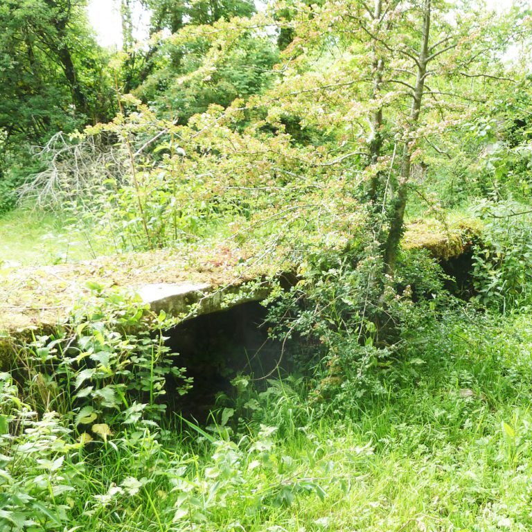 Clapper Bridge Ballybeg Abbey Buttevant
