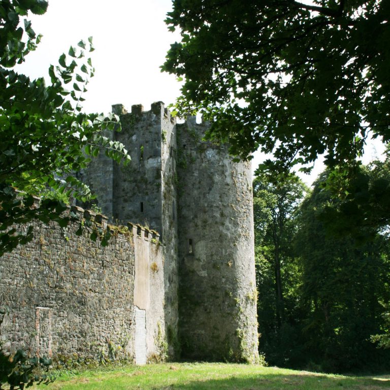 Tower of Barry's Castle Buttevant