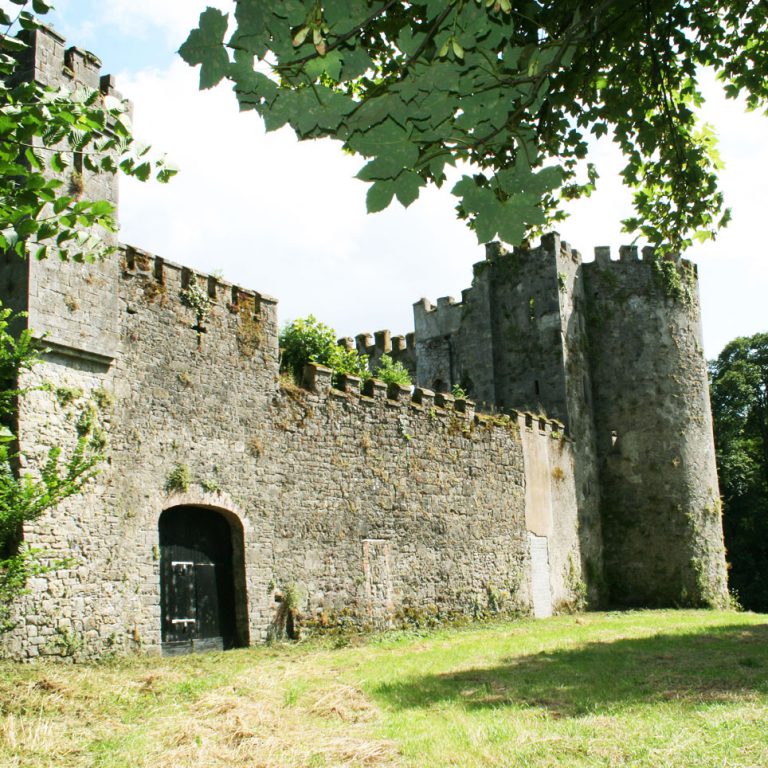 Main Entrance Barry's Castle Buttevant