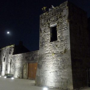 Lobards Castle Buttevant by night