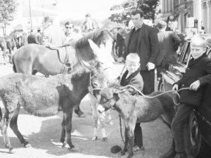 Cahirmee Fair Buttevant
