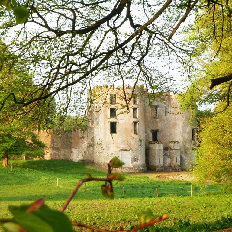 Barry's Castle Buttevant